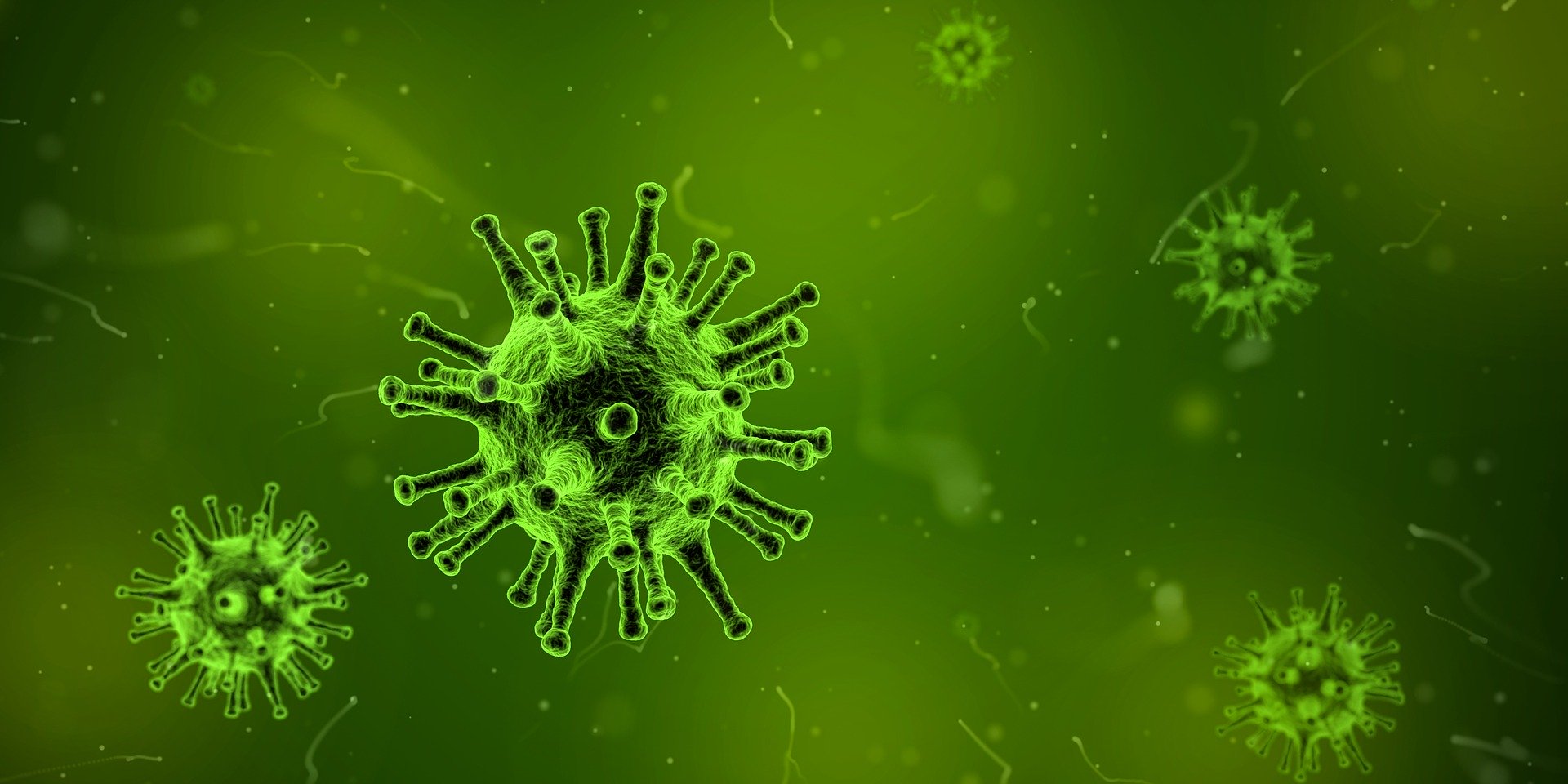 Virus under the microscope, visually similar to COVD-19